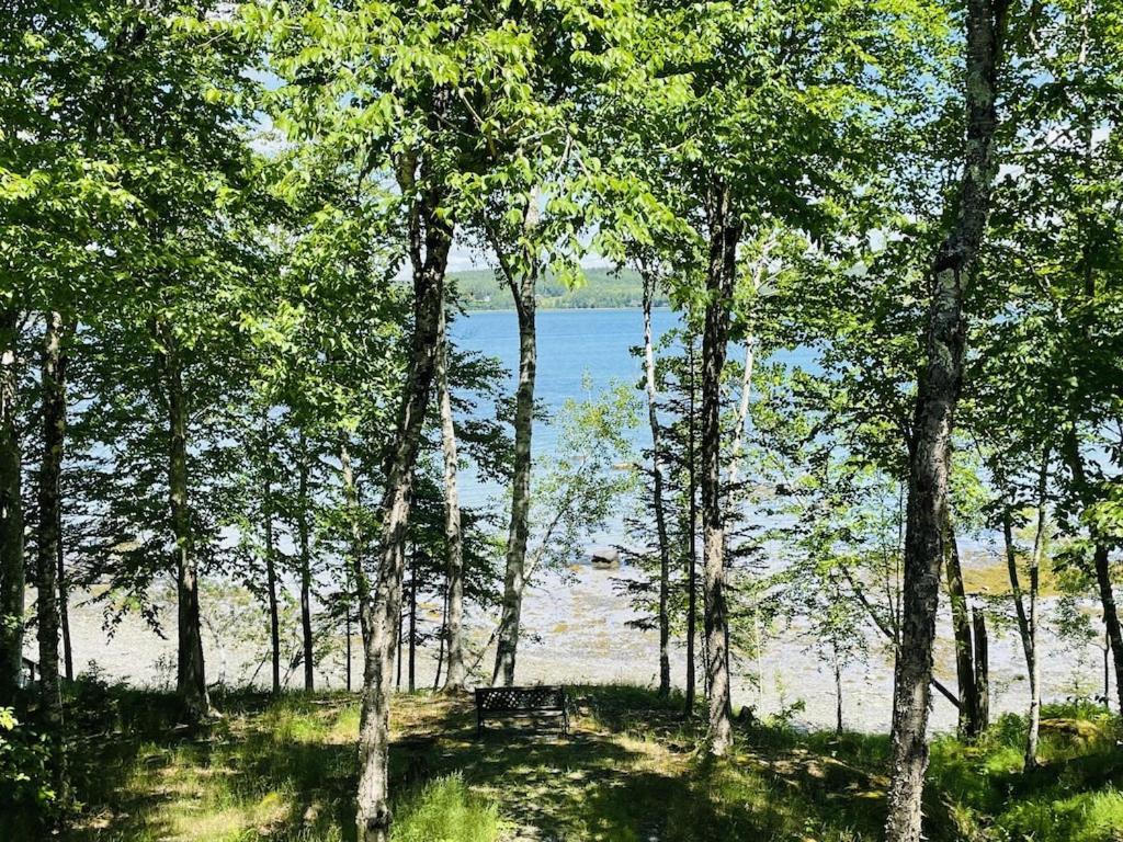 Chalet With A Private Beach In Acadia National Park بار هاربور المظهر الخارجي الصورة